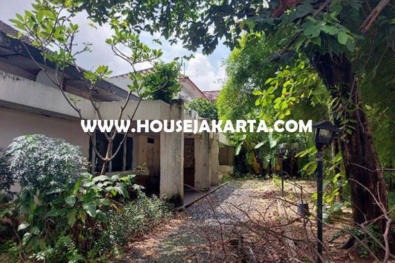 Rumah Kebayoran Baru dekat SCBD Sudirman Senopati Dijual Murah hitung Tanah depan Taman