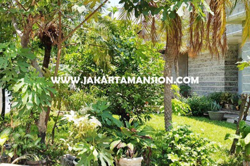HS1030 Rumah Jalan Garut Menteng Dijual Murah Tanah Kotak Golongan C
