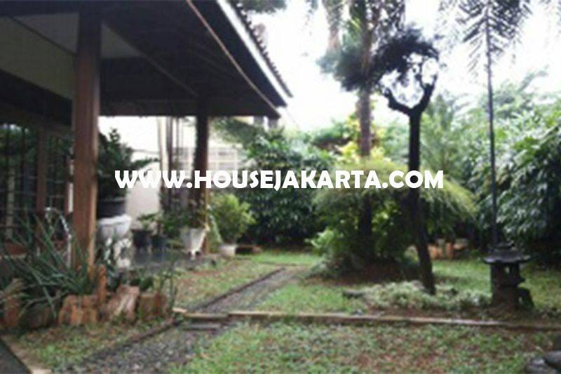 HS1062 Rumah Jalan Solo Menteng Tanah Kotak Golongan C Dijual Murah Daerah Tenang