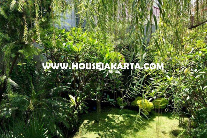 HS1225 Rumah Bagus jalan Jambu Menteng Dijual Murah 40M Persegi Siap Pakai