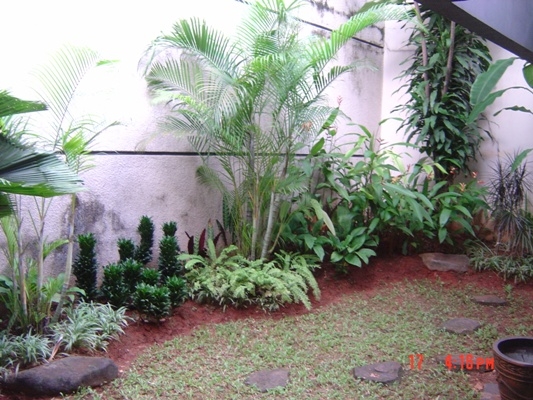 HR132 Nice house for rent at Kebayoran Baru 