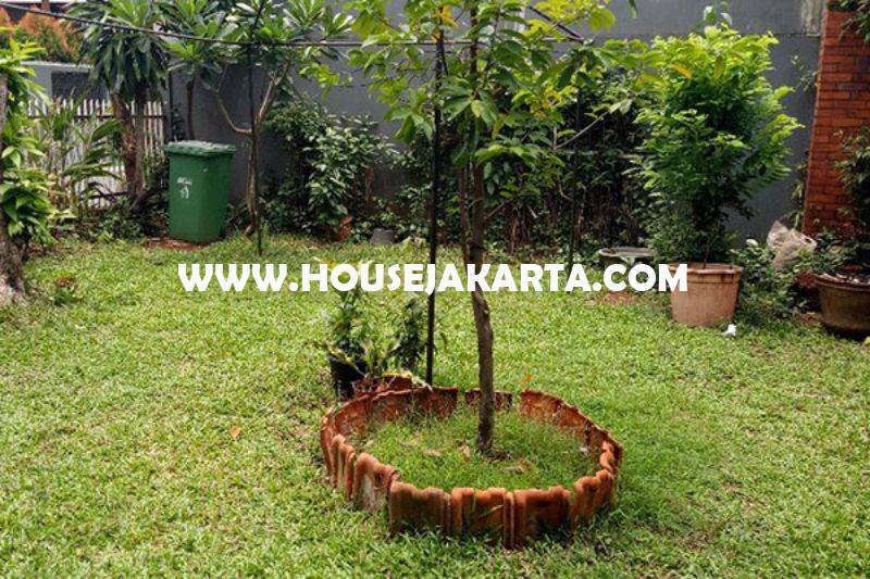 HS1320 Rumah Jalan Malang Menteng Dijual Murah Tanah Persegi Golongan C