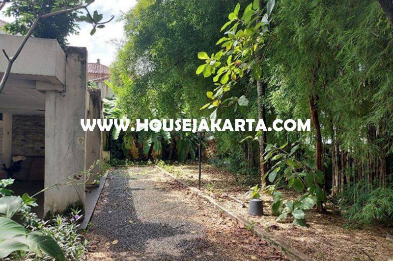 HS1461 Rumah Tua Hitung Tanah Jalan Madiun Menteng Bentuk Persegi Dijual 60juta/m Murah