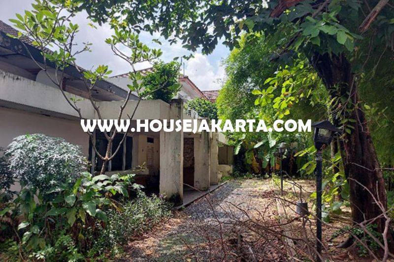 HS1466 Rumah lama Jalan Yusuf Adiwinata Menteng hitung Tanah luas 922m Dijual Murah