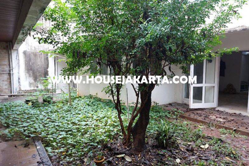 HS1466 Rumah lama Jalan Yusuf Adiwinata Menteng hitung Tanah luas 922m Dijual Murah