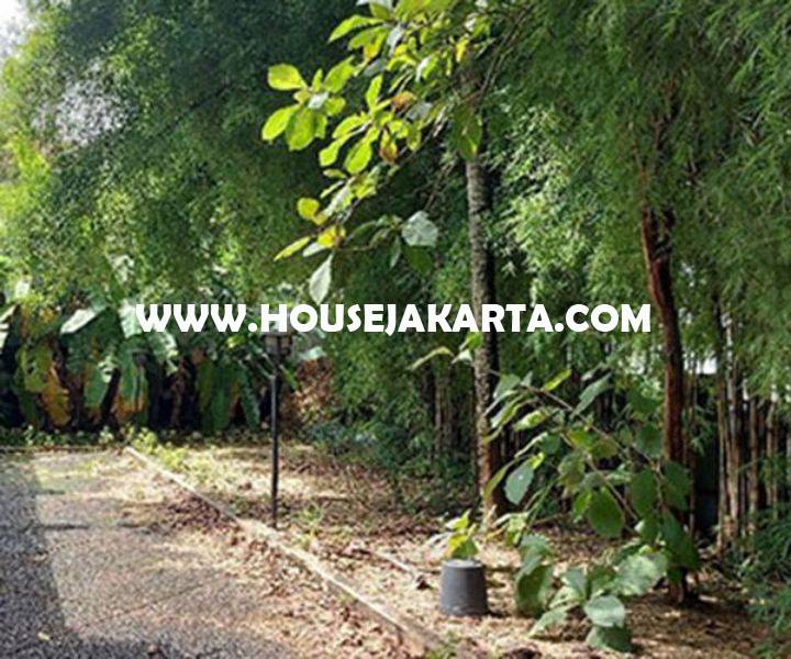 HS1480 Rumah Jalan Karang Asem Denpasar Mega Kuningan Dijual Murah Hitung Tanah