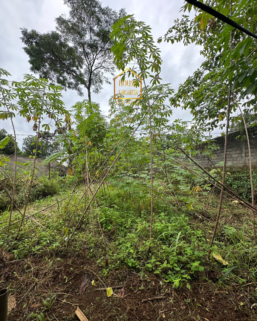 LS1906 Tanah Hunian Pemandangan Alam dan Asri • Bisa Villa • Dekat Tol Ciawi