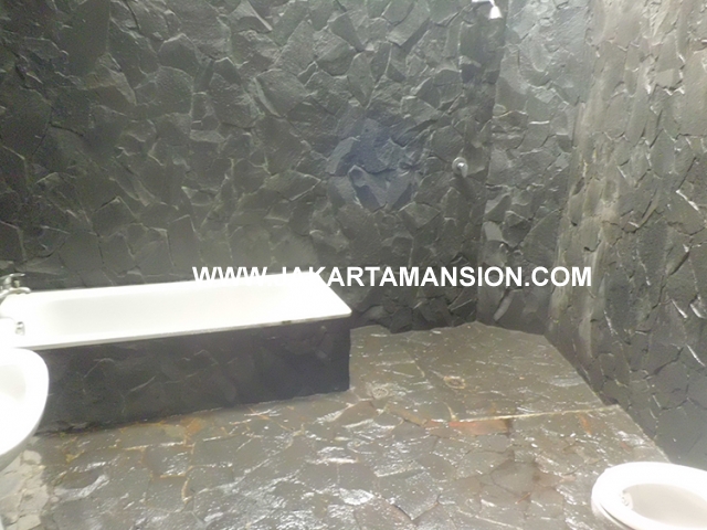 HR450 House for rent at Kemang