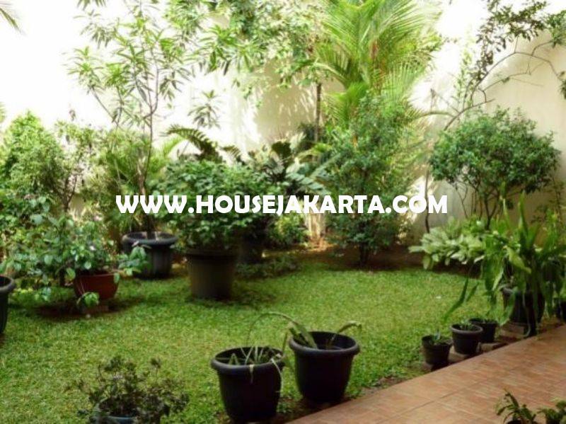 HS963 Rumah Jalan Maluku Menteng Dijual Murah Rp 44M Tanah Kotak